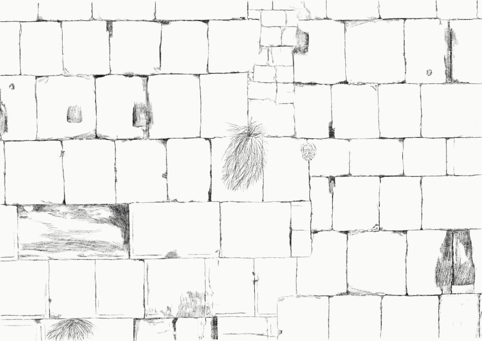 ציון – תמונה 2