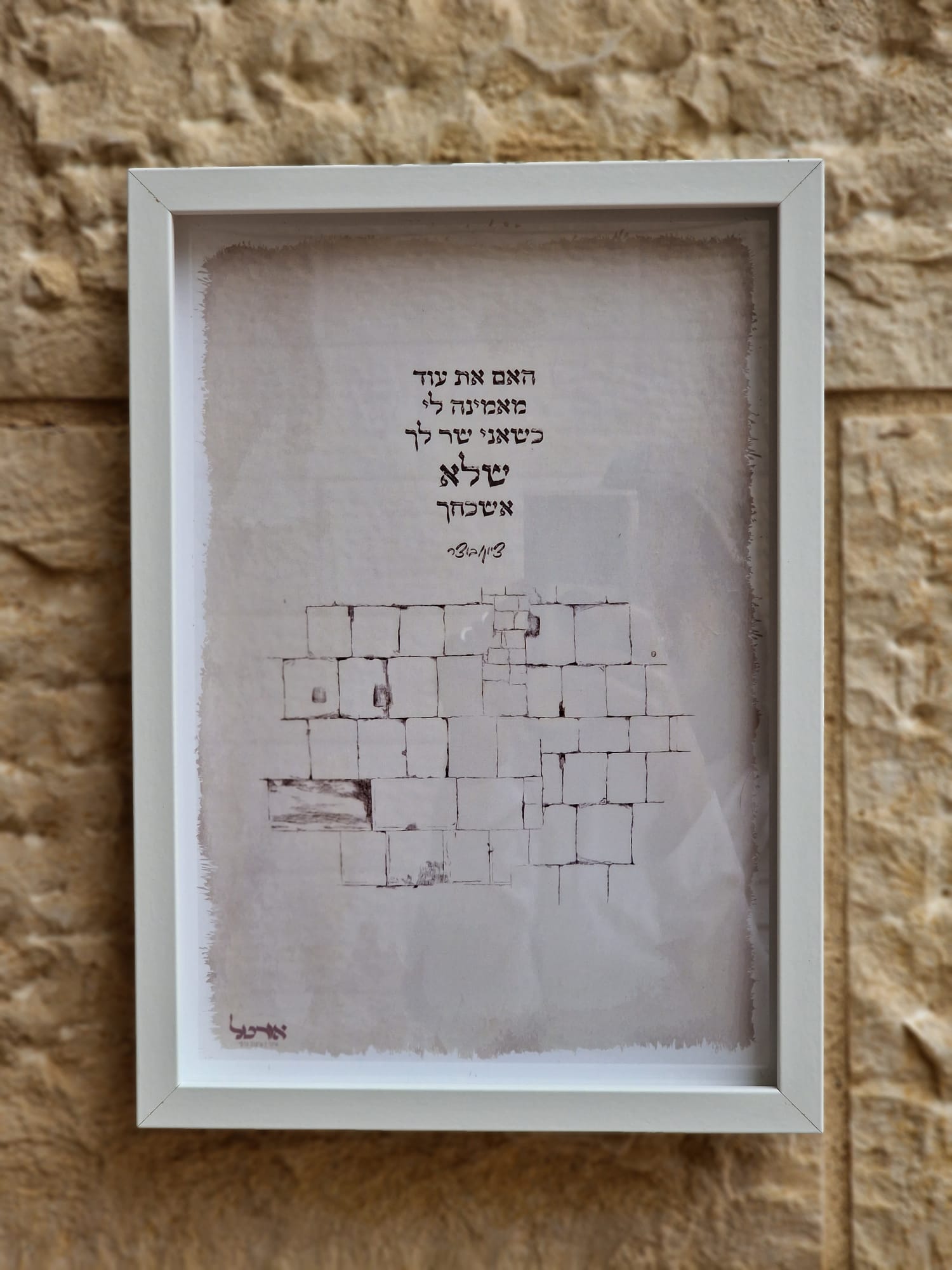 ציון – תמונה 4